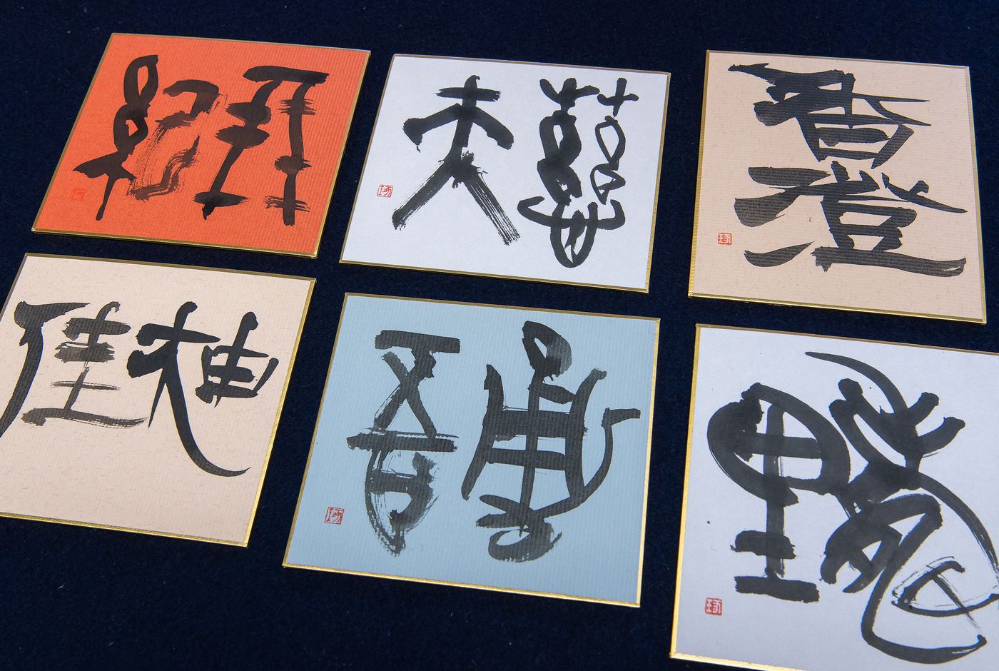 臥龍会の書作品